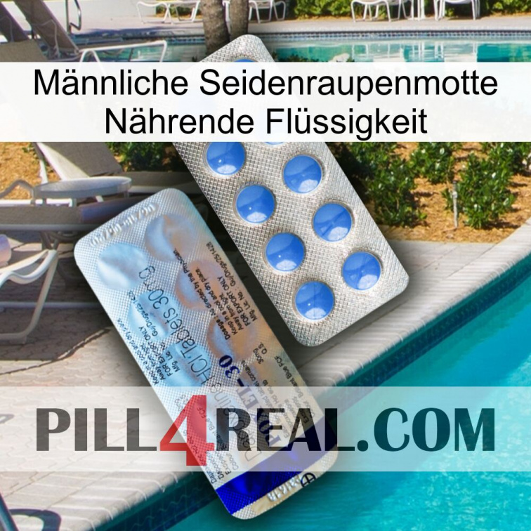 Männliche Seidenraupenmotte Nährende Flüssigkeit 39